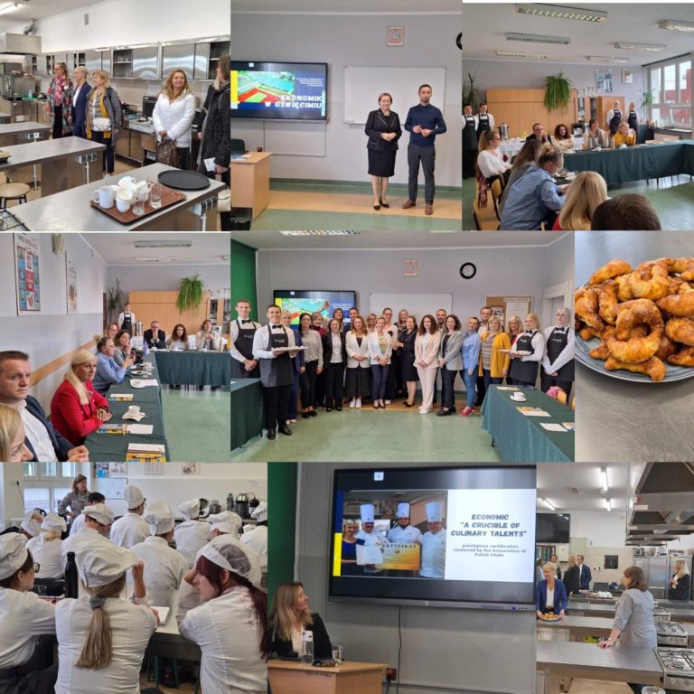 Podsumowanie spotkań międzynarodowych – grupy fokusowe w Polsce